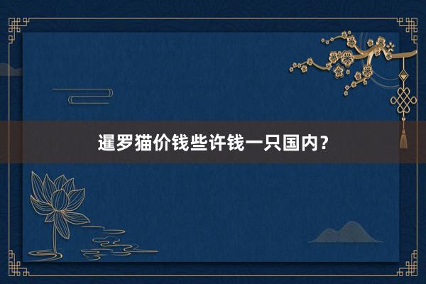 暹罗猫价钱些许钱一只国内？