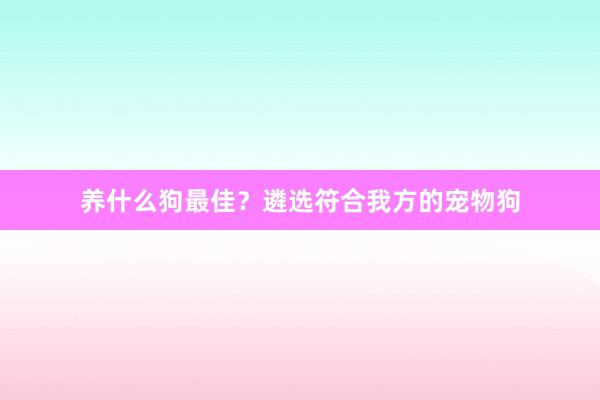 养什么狗最佳？遴选符合我方的宠物狗