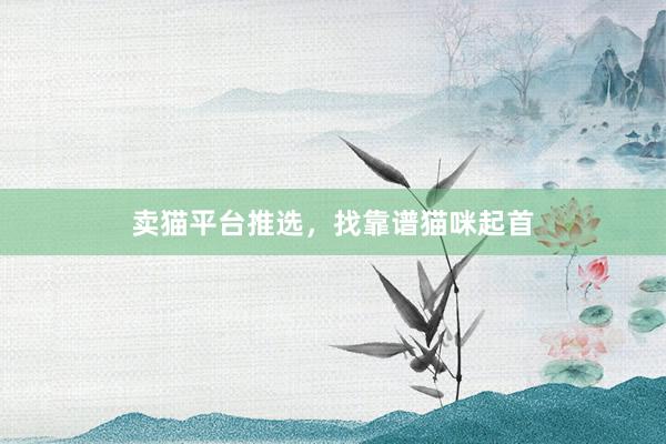 卖猫平台推选,找靠谱猫咪起首